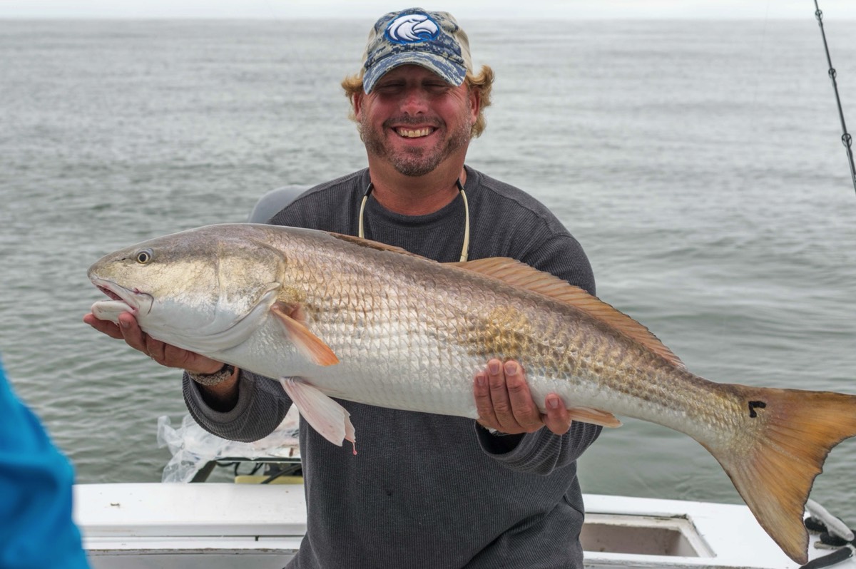 Hilton Head Inshore Saltwater Fishing Charters, Backwater Fishing & Guide  Services