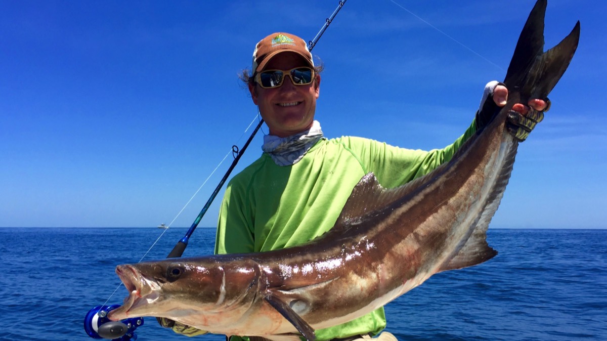 Hilton Head Fishing Charters for Cobia