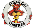 Logo - Stray Cat Fishing Charters